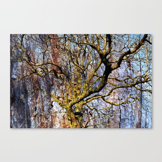 Magic Dream of a Tree Canvas Print