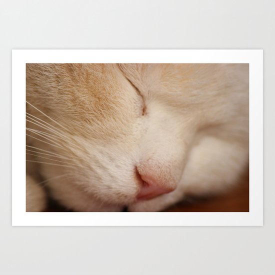 Sleeping Cat Art Print