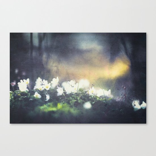Rugged beauty Canvas Print