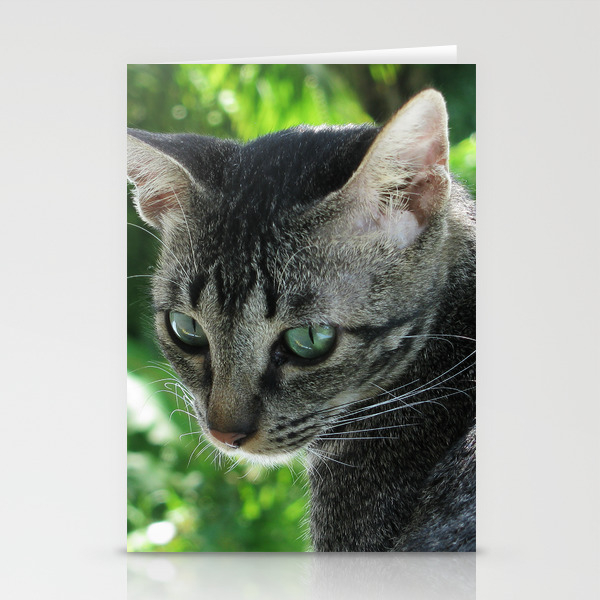 girl with pearl earring cat