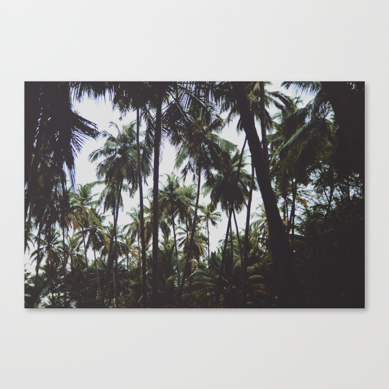 Forest Palm Trees Nature Landscape Photography Canvas Print