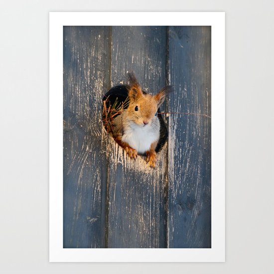 Peek-A-Boo! Art Print