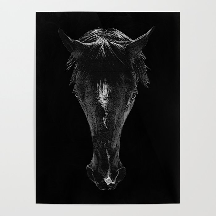 horse face in front, great rider designs, beautiful horse photos women  Poster