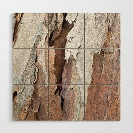 Eucalyptus Tree Bark and Wood Abstract Natural Texture 64 Wood Wall Art