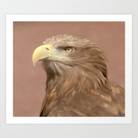 Sea Eagle Art Print