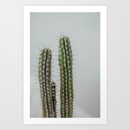 Cactus europe spain | Summer time street photography | Fine art print Art Print