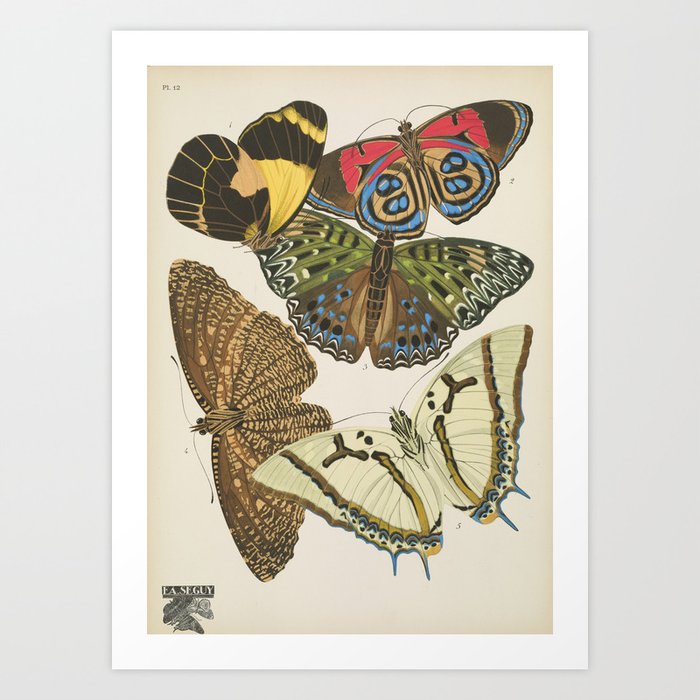 Art Print