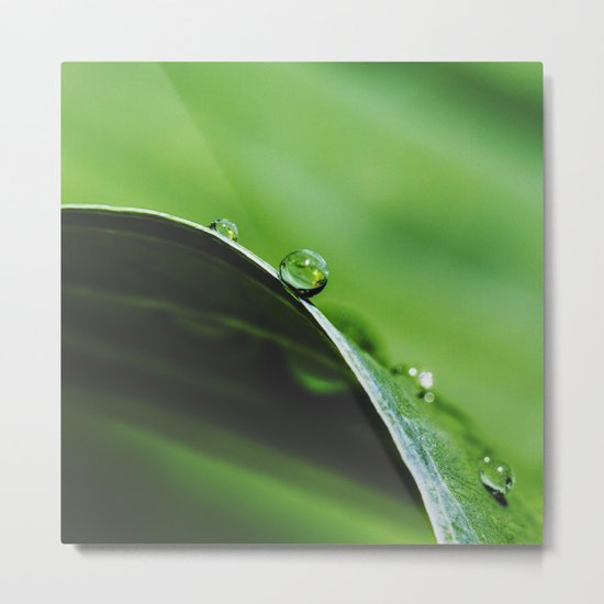 drops on green Metal Print