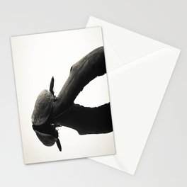 Turtle on The Lake (Black&White) Stationery Cards