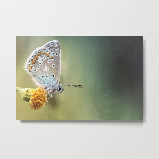 Composition in other colors.... Metal Print