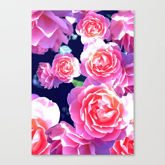 Floribunda Canvas Print