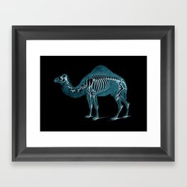 Camel X-ray - Camel Print - Camel Wall Art - Animal X-ray Framed Art Print