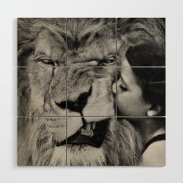 Grouchy Lion being kissed by brunette girl black and white photography Wood Wall Art