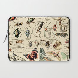 Vintage Insect Identification Chart // Arthropodes by Adolphe Millot XL 19th Century Science Artwork Laptop Sleeve