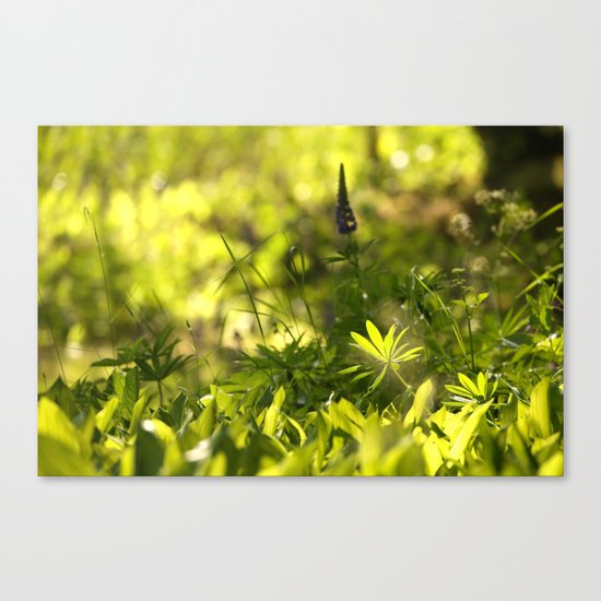 In The Summer Forest Canvas Print