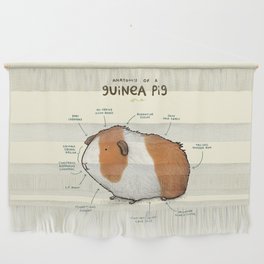 Anatomy of a Guinea Pig Wall Hanging