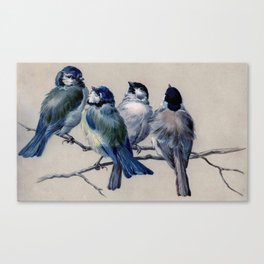 Vintage Cute Blue Birds on Branch Canvas Print