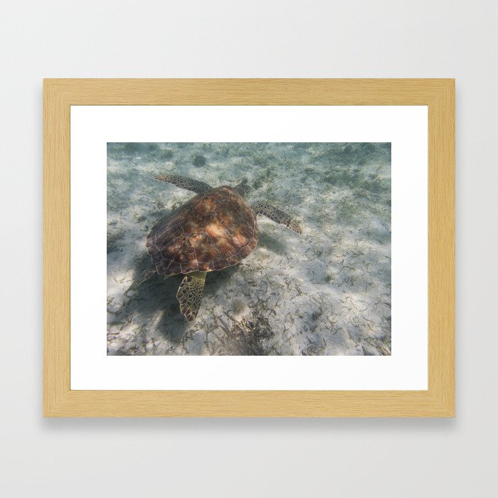 Sea Turtle and Sand Framed Art Print