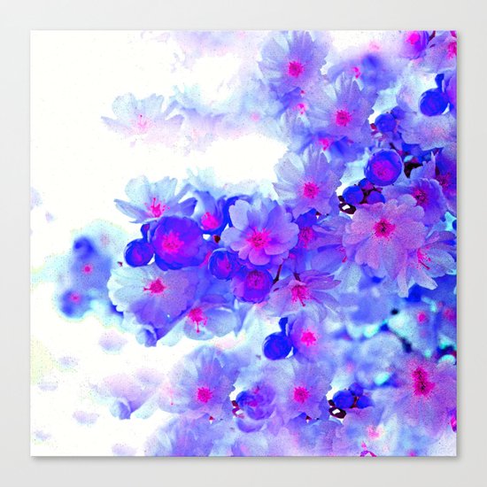 Cherry Blossom Tree Canvas Print