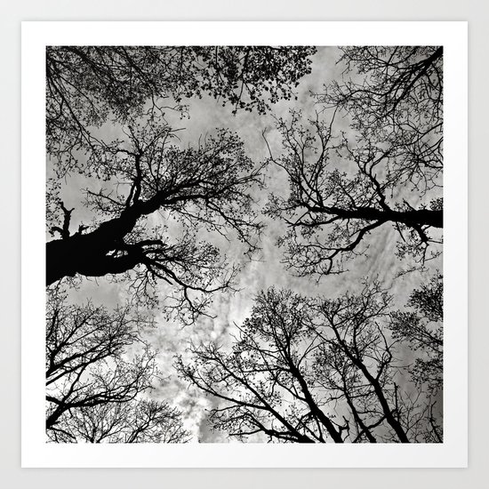 Meditative Power of Trees Art Print