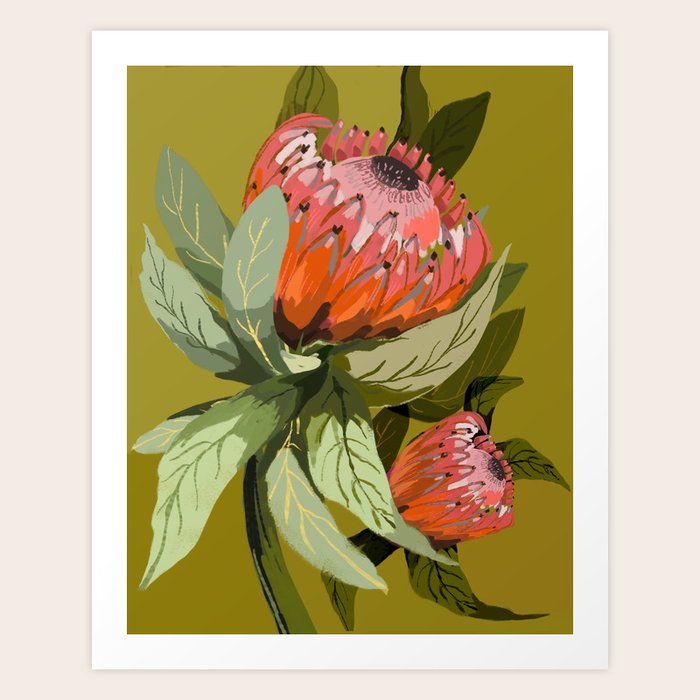 Protea, Australian native, flower, abstract, olive green, bright colors