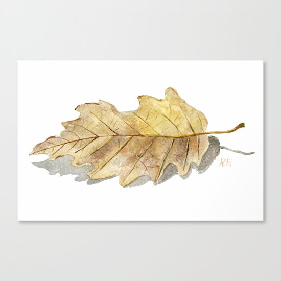 Oak leaf Canvas Print