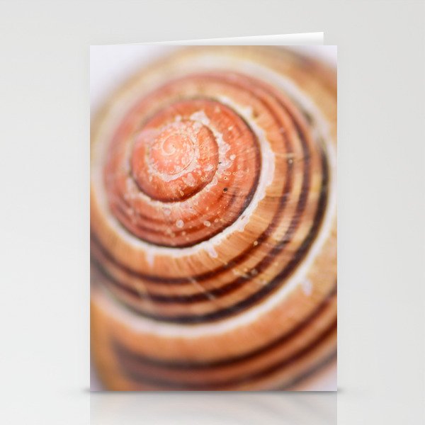 Snail Shell Stationery Cards