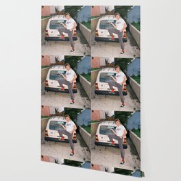 Mac Demarco Wallpaper For Any Decor Style Society6