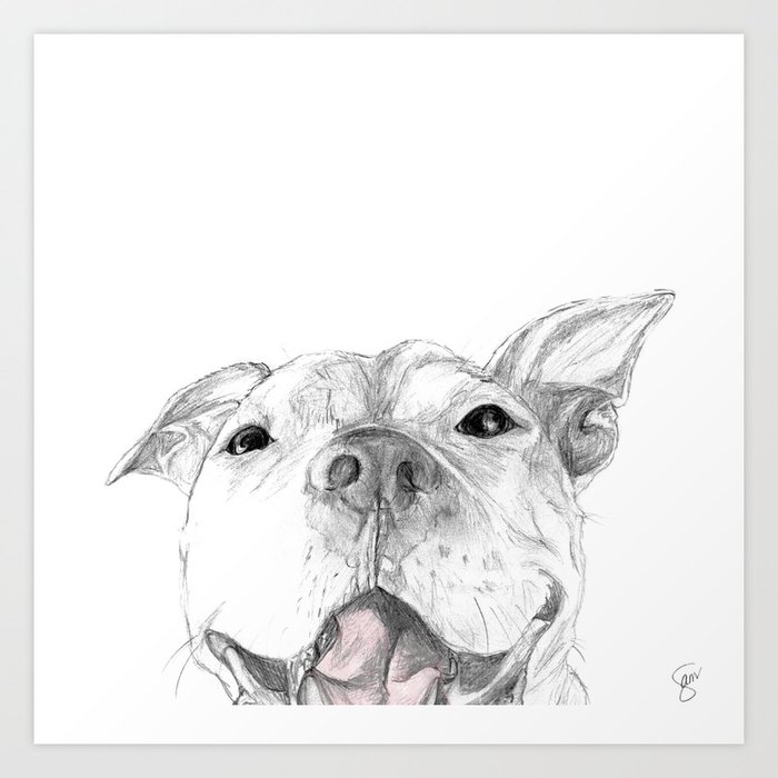 Whaddup :: A Pit Bull Smile Kunstdrucke Whaddup :: A Pit Bull Smile Kunstdrucke