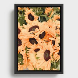 Sunflowers Framed Canvas