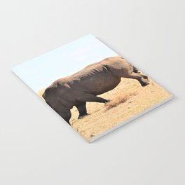 South Africa Photography - Rhino At The Dry Empty Savannah Notebook