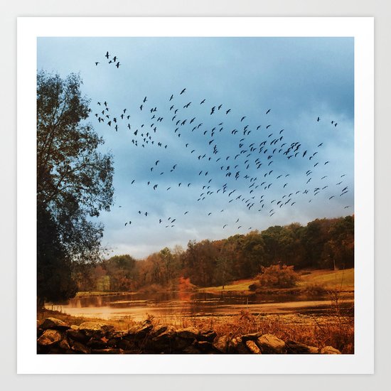 Good Migrations Art Print