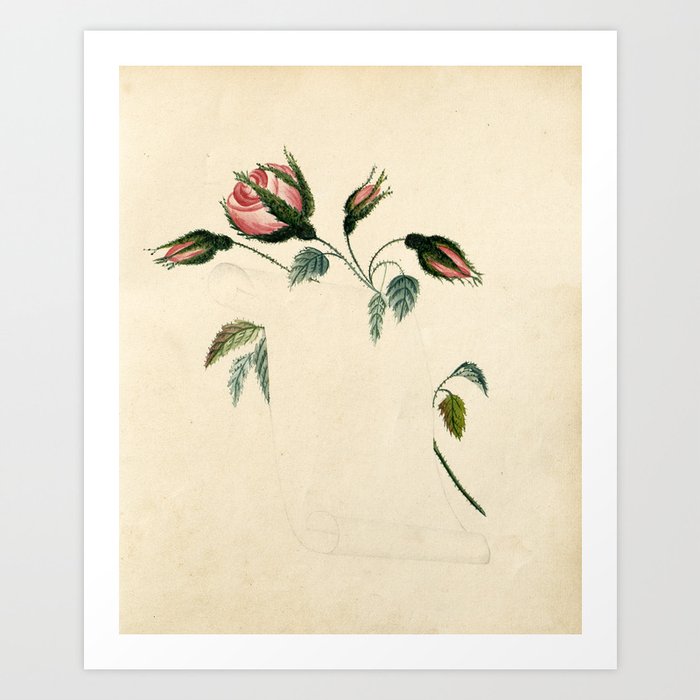 Flowers and scroll, 1833 Art Print by brainpicker | Society6