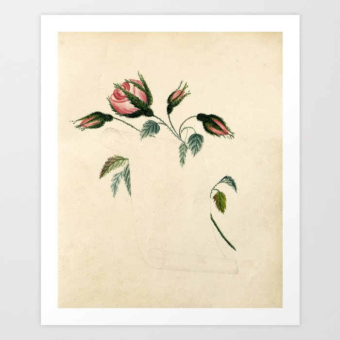 Flowers and scroll, 1833 Art Print