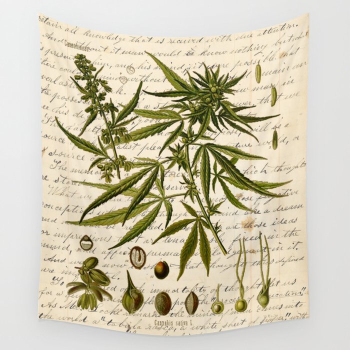 Marijuana Cannabis Botanical on Antique Journal Page Wall Tapestry