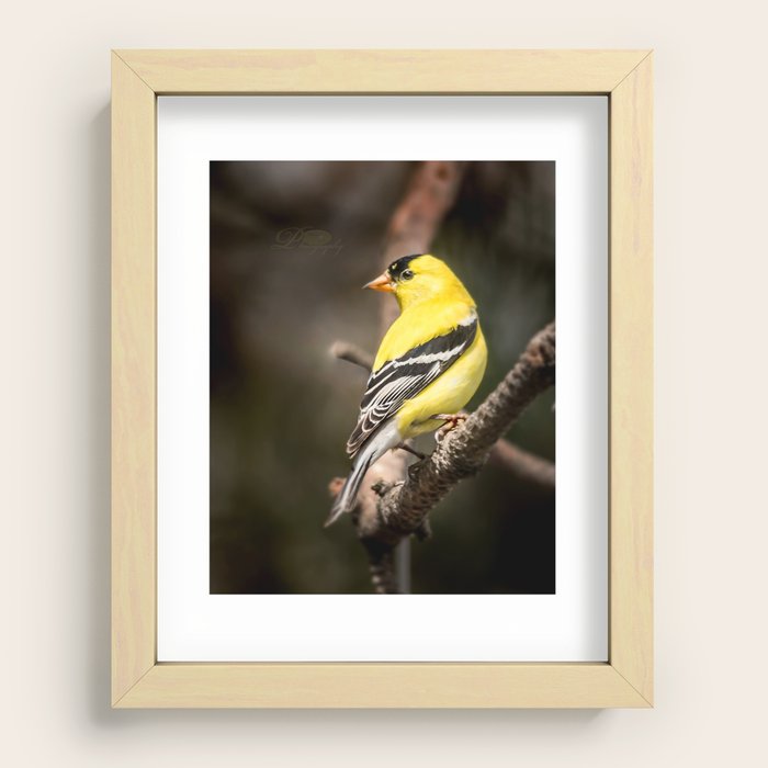 Recessed Framed Print
