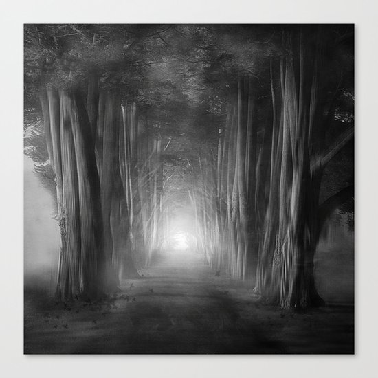 Black and White - Dreams come true Canvas Print