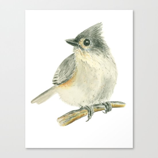 Tit bird, watercolor painting Canvas Print