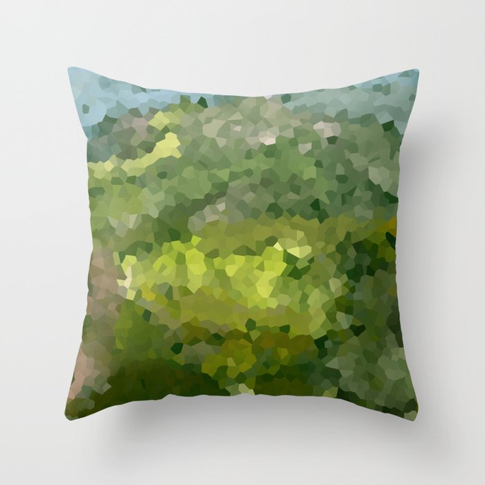 adventure throw pillow