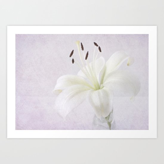 Lily Art Print