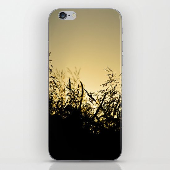 Reeds iPhone & iPod Skin