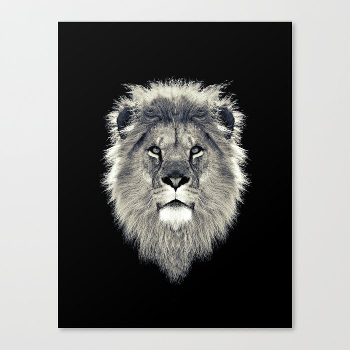 Lion Portrait Canvas Print