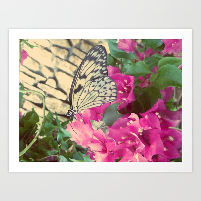 Pink flutter Art Print