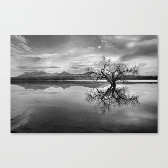 "Magic tree" BW. Sunset at the lake Canvas Print