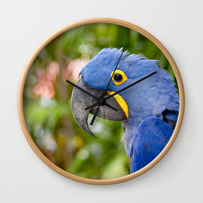 Blue Hyacinth Macaw - Anodorhynchus hyacinthinus Wall Clock