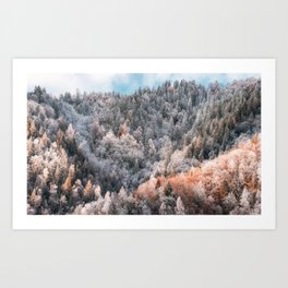 Autumn colors in winter Art Print