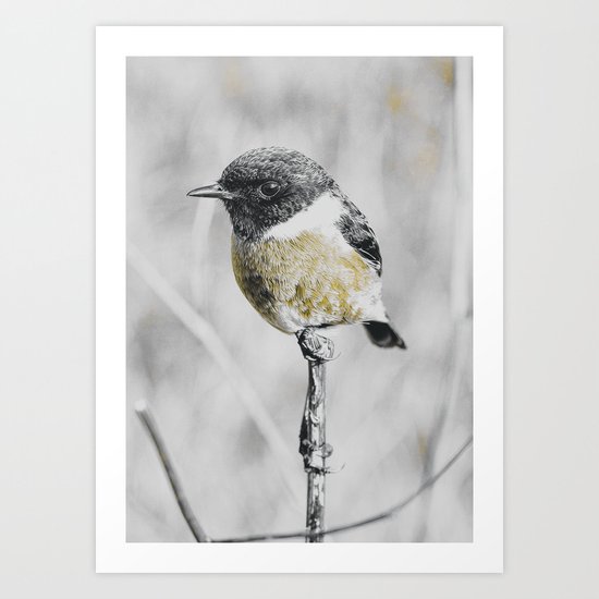 BIRD Art Print