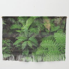 New Zealand ferns Wall Hanging