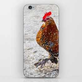 Rooster Strut iPhone Skin