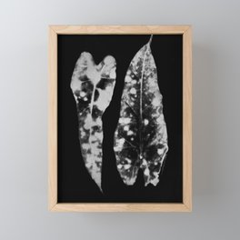 Ghostly Mottled Leaves Photogram Framed Mini Art Print